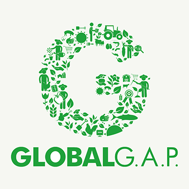 global_GAP.png